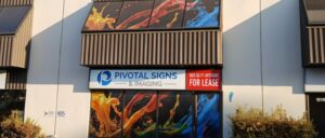 Window Graphics For Seasonal Promotions: A Flexible Signage Solution