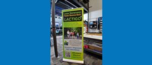 Top Sign Products In Edmonton To Prepare Your Brand For Year-End Promotions